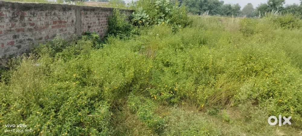 8 ktha ka plot he 9 lak rupya ktha he baksha ghat purnia bihar