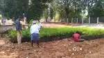 Call for Managed Farm land 6534sqft land with Weekend home