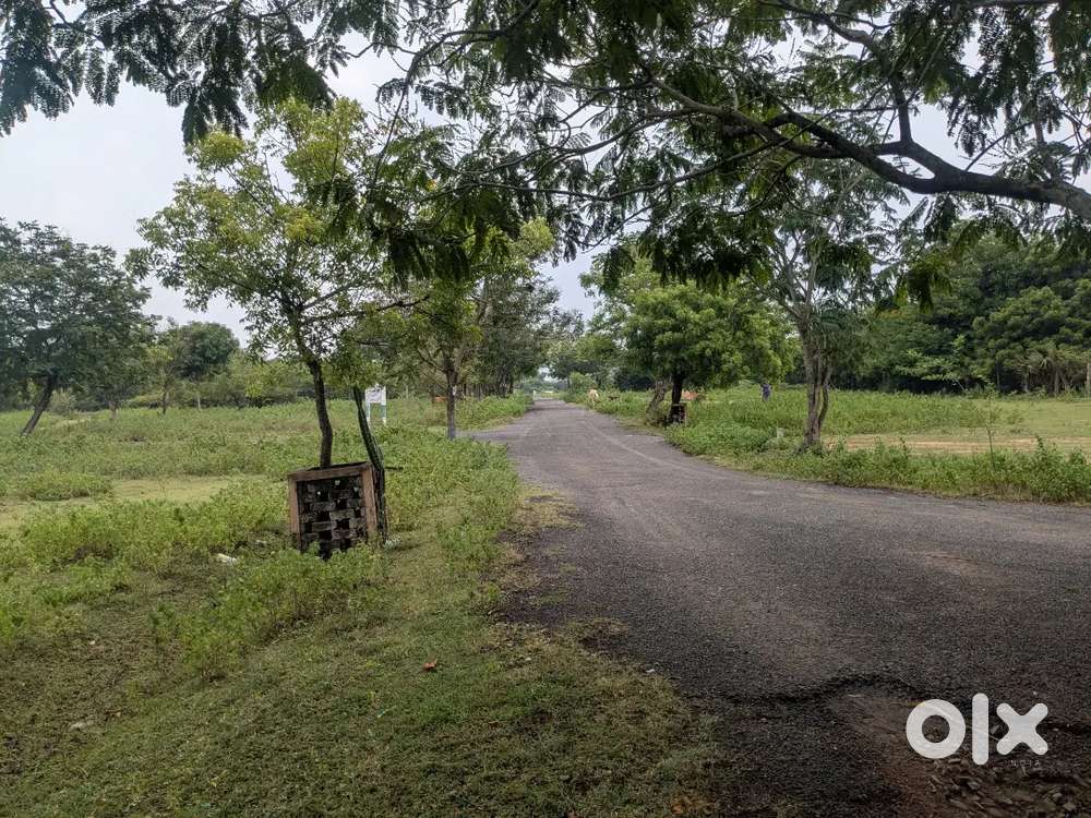 7 acres near parandhur