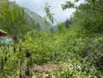 Plot Sale in Kasol