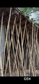 Shuttering