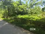 Moran twon in3km