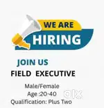 Female Field Exicutive For Aplication Collection