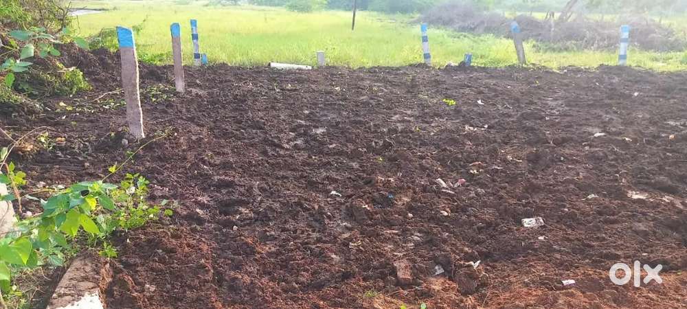 Located in kumaram Madurai