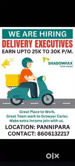 Delivery Executives