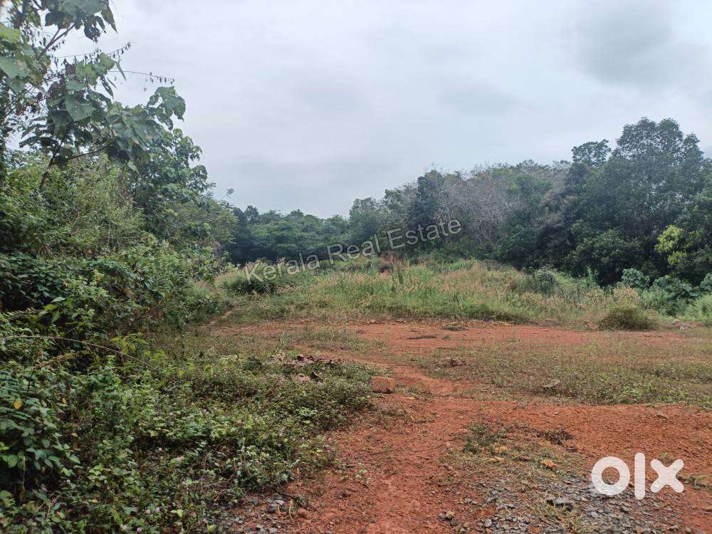 Bus route naduvil -sreekandapuram road