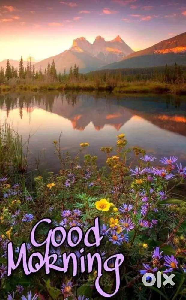 Female respsnit and service