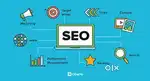 FRESH YEAR CAN LEARN SEO WORK