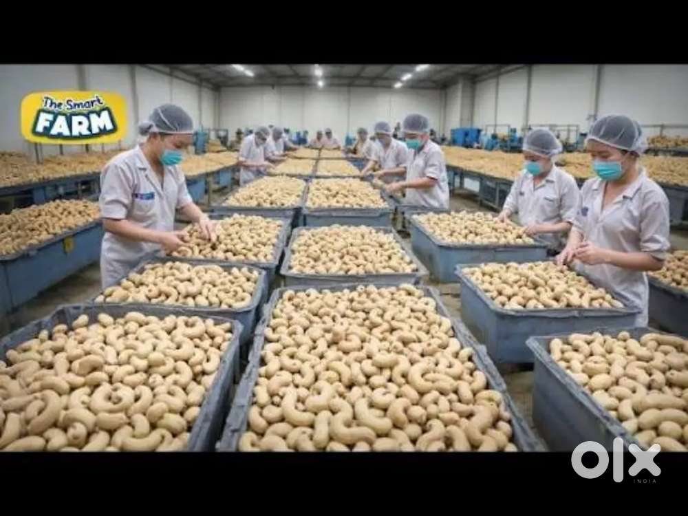 Wanted m/f packing helpers inside spices factory