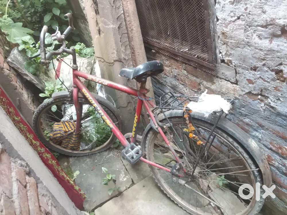 Cycle for sale