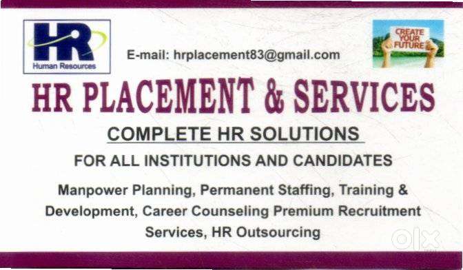 SALES EXECUTIVE