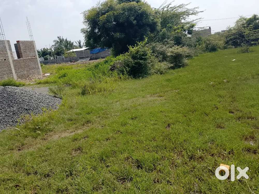 Near veletech college,