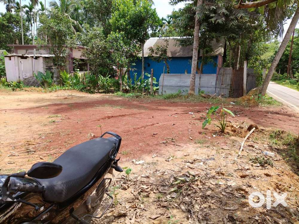 Sale hobe 1.5 gonda plot