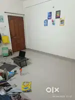 Need a female roommate in living room