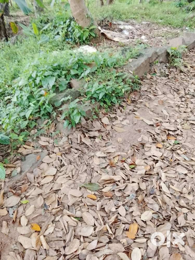 5 CENT LAND FOR SALE MOOZHIKAL CALICUT