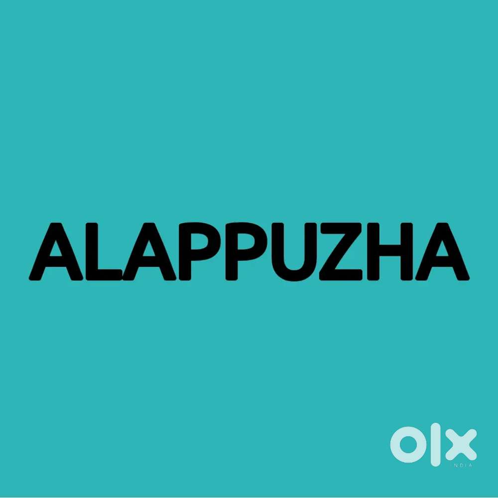 COLLECTION EXECUTIVES