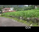 Adimali Nerimangalom,#plot for sale super plot