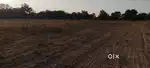 Land for sale in less price