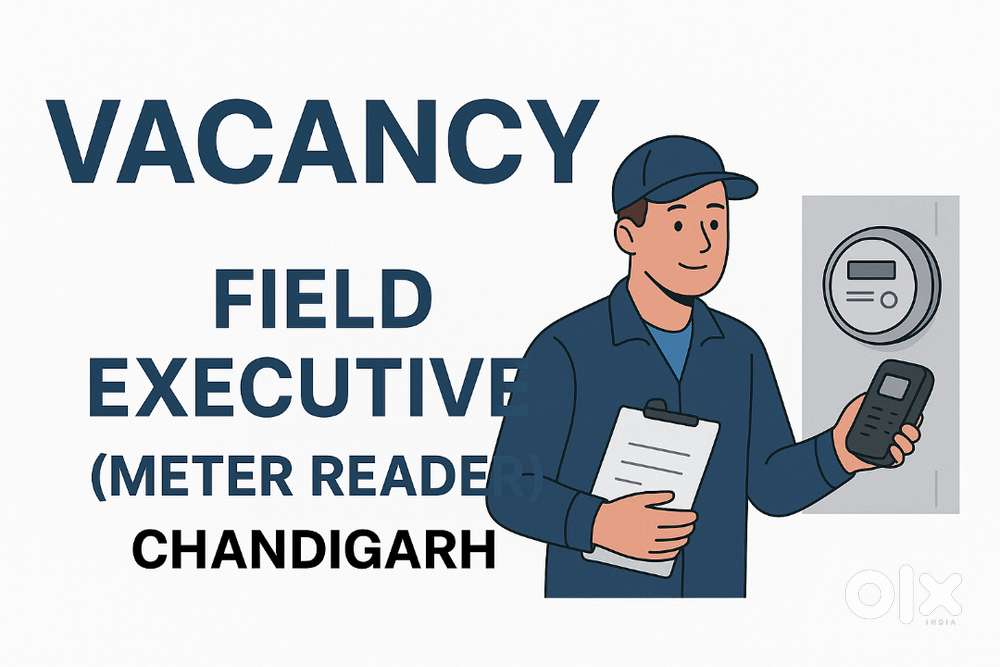 Field executive(Meter reader)