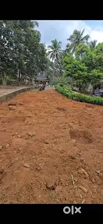 Pothanicad to Kothamangalam