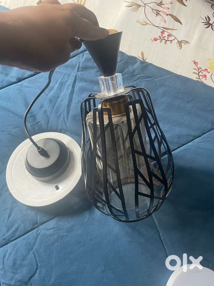 Hanging and track lights