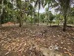 ചെട്ടികുളങ്ങരയിൽ ഹൗസ് പ്ലോട്ടുകൾ വില്പനക്ക്