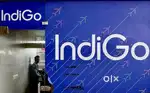 Airport Ground staff jobs in Indigo Airlines urgent hiring Apply Fast
