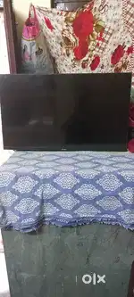 3 years old