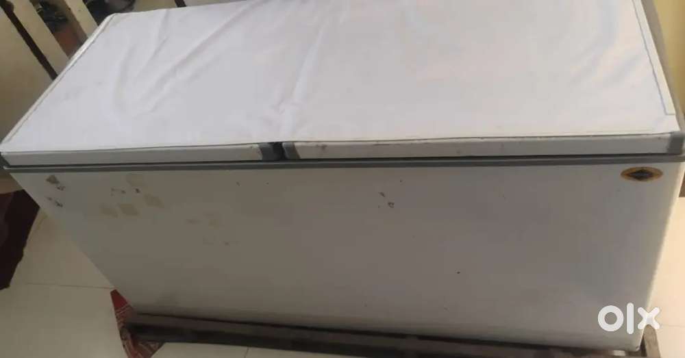 Western deep freezer big size