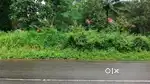 നത്തലൂർ . കോട്ടയം Road 15 cent plot. 4 .lakh. cent.