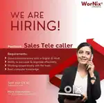 Sales Telecaller Executive
