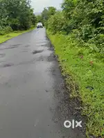 Tal.Trimbakeshwar , Velunje  4 Acer Land For Sale ,Tar Road Touch