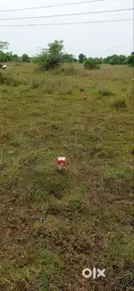 Invest for Tomorrow–Housing Land SALES, Walajabad(40 Mins froTHAMBARAM