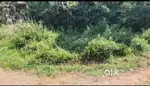 Kadamba Plateau  360m2 Plot for sale