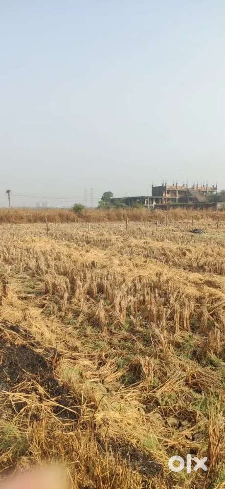 “Land — The Only Investment That Never Depreciates.”