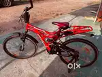Hercules Cycle