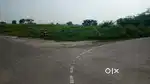 ਖਾਲੀ ਪਲਾਟ 53 ਮਰਲੇ