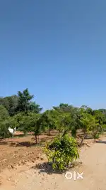 Green lush fram well developed Farm house