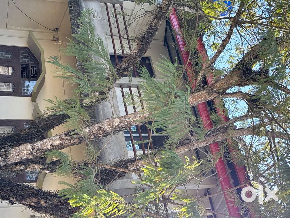 2BHK for rent in Silapathar