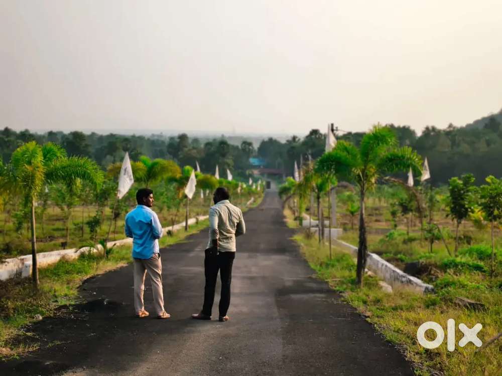 Open farm plots and resorts