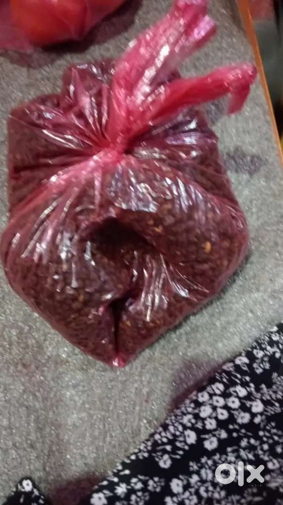 Urgent hiring Nepali chinese cook