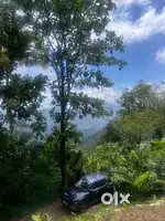 13 Acers of Lush green fertile land for sale in Peerumedu