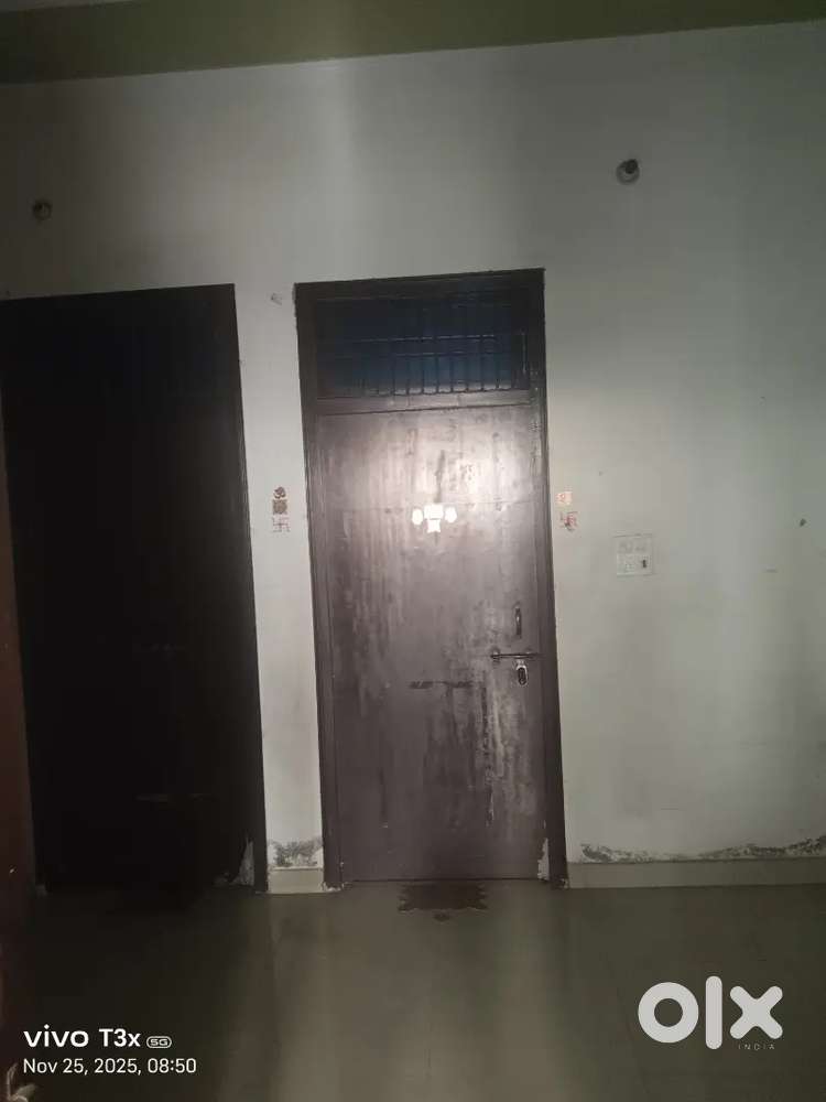 House for rent and sale