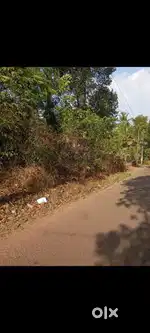 47 scent land for sale