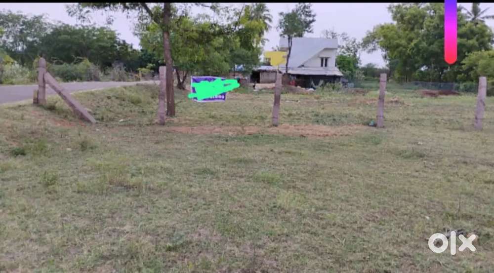 Land near AIIMS, Vedarpuliankulam, Madurai