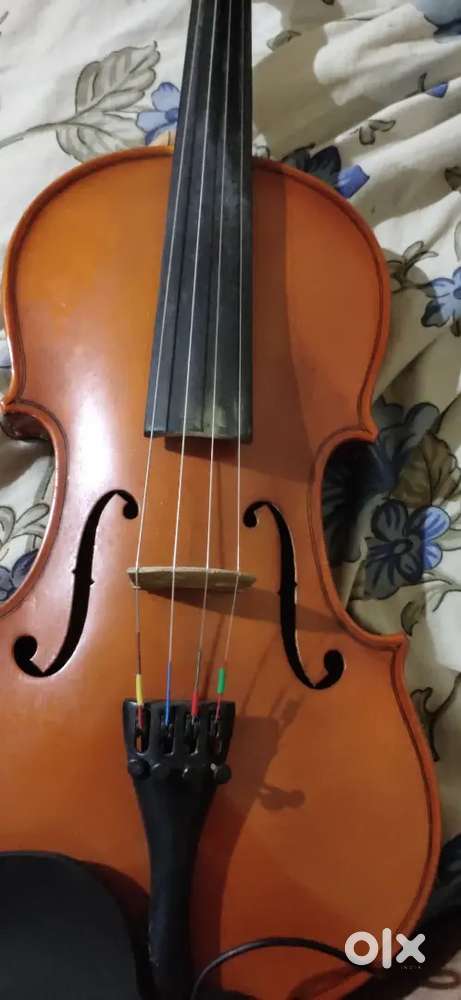 Violin Tution