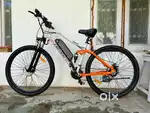 e-motorad EMX electric bicycle