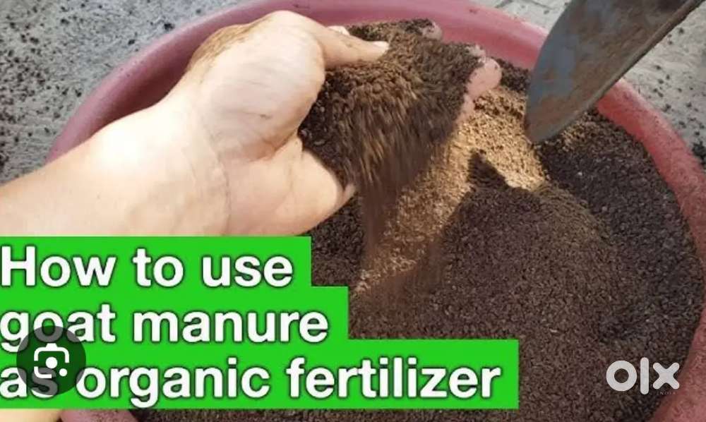 20 pots with 3 bags of rich sand and goat manure