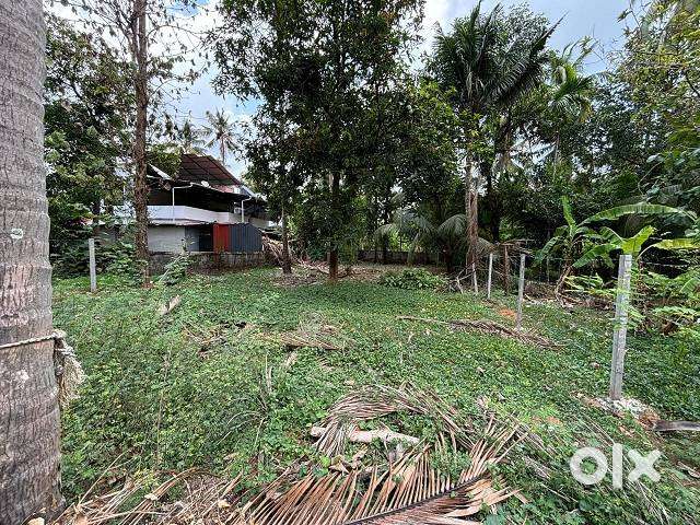 Nellangara Prime located 10 cents Residential land