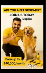 EARN 70000 BY RENTING YOUR WHATSAPP